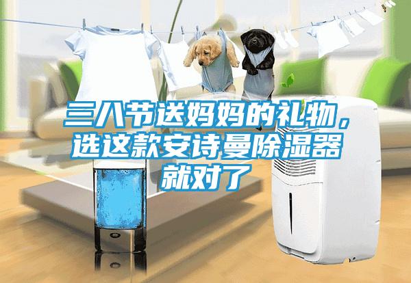 三八节送妈妈的礼物，选这款安诗曼除湿器就对了