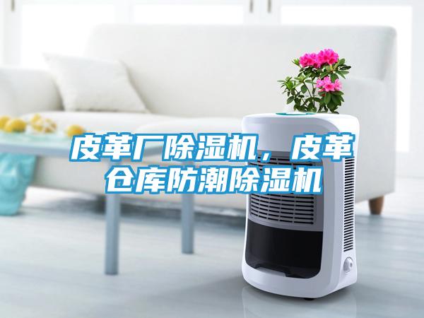 皮革厂除湿机，皮革仓库防潮除湿机