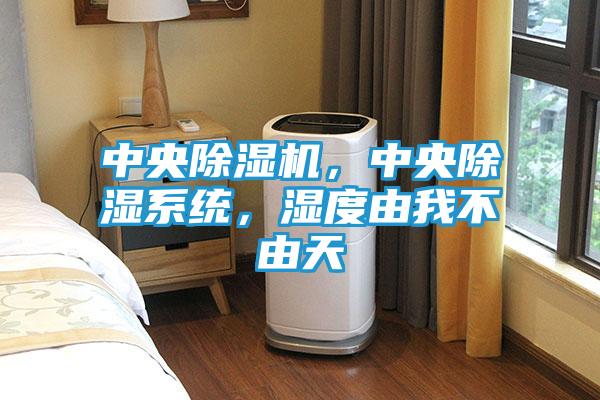 中央除湿机，中央除湿系统，湿度由我不由天