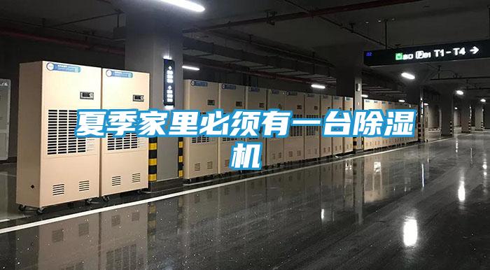夏季家里必须有一台除湿机