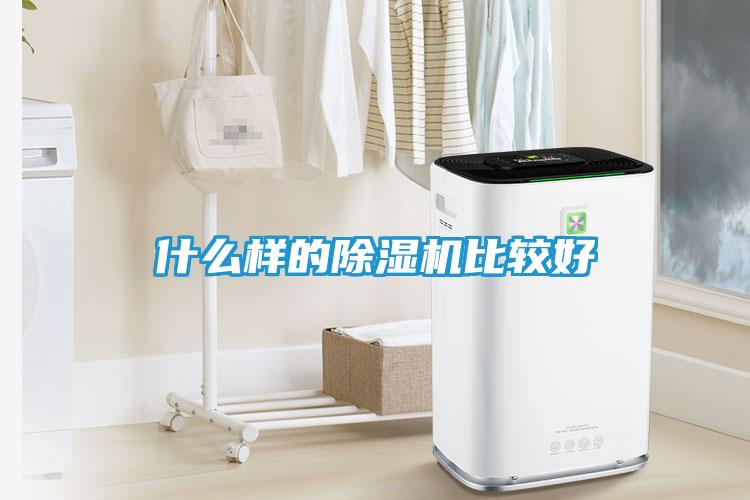 什么样的除湿机比较好