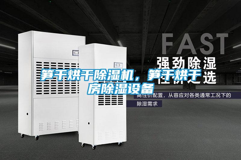 笋干烘干除湿机，笋干烘干房除湿设备