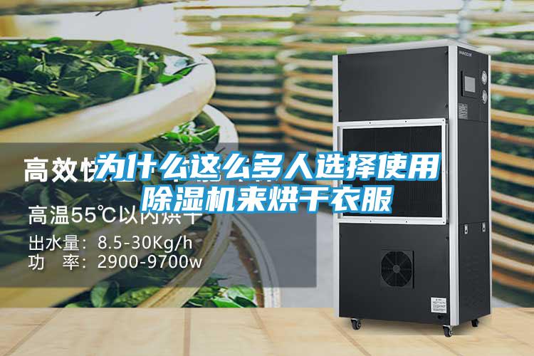 为什么这么多人选择使用除湿机来烘干衣服