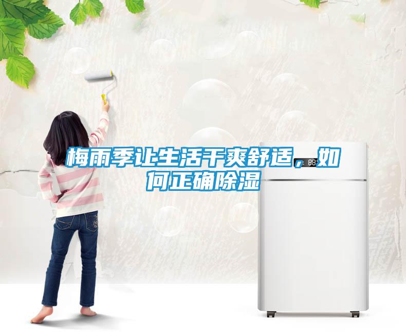 梅雨季让生活干爽舒适，如何正确除湿