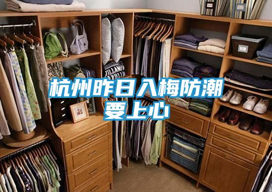 杭州昨日入梅防潮要上心