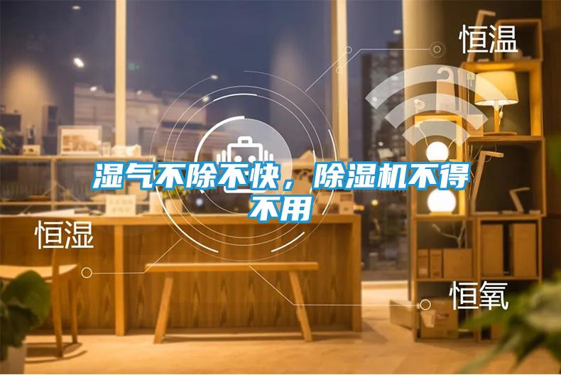 湿气不除不快，除湿机不得不用