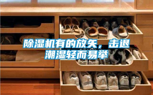 除湿机有的放矢，击退潮湿轻而易举