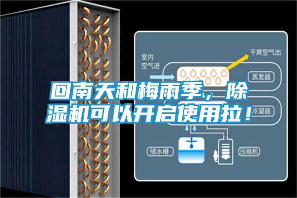 回南天和梅雨季，除湿机可以开启使用拉！