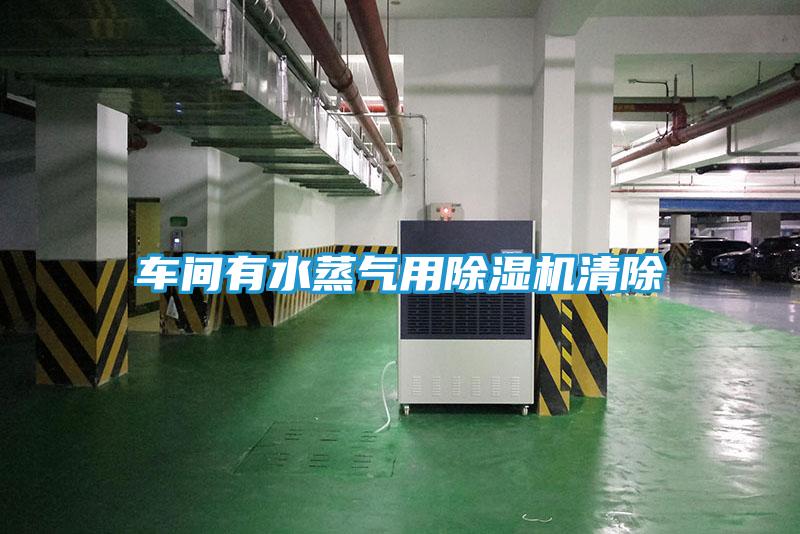 车间有水蒸气用除湿机清除