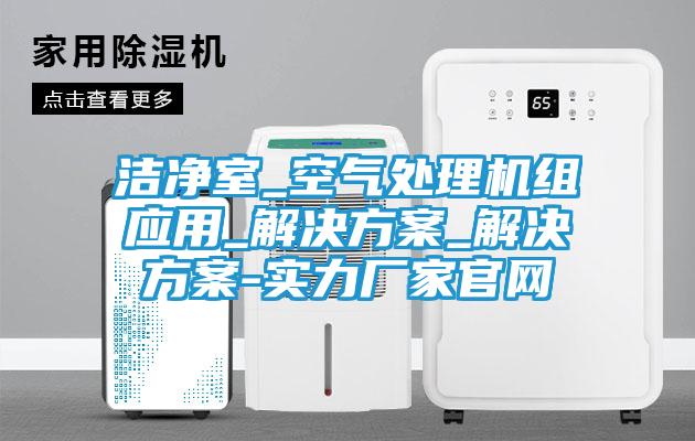 洁净室_空气处理机组应用_解决方案_解决方案-实力厂家官网