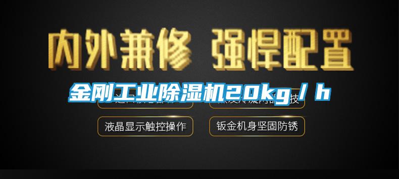 金刚工业除湿机20kg／h