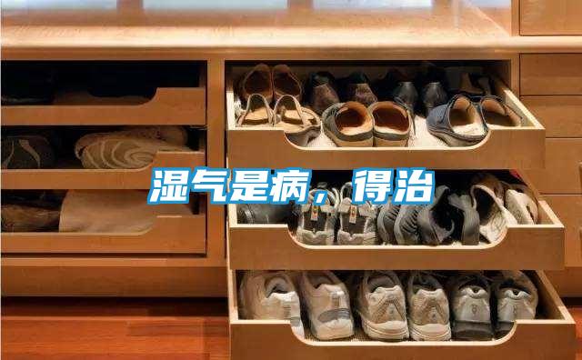 湿气是病，得治