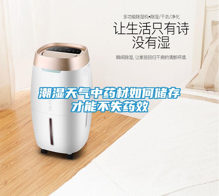 潮湿天气中药材如何储存才能不失药效