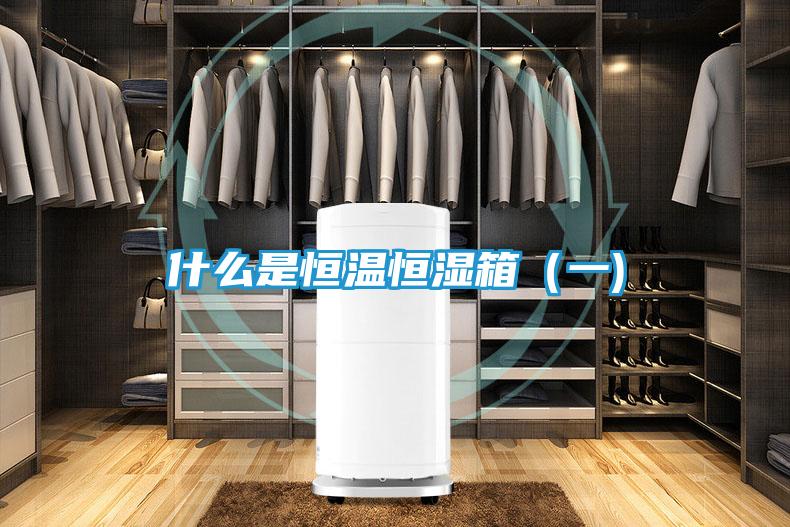 什么是恒温恒湿箱（一)