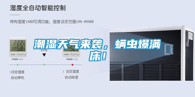 潮湿天气来袭，螨虫爆满床！