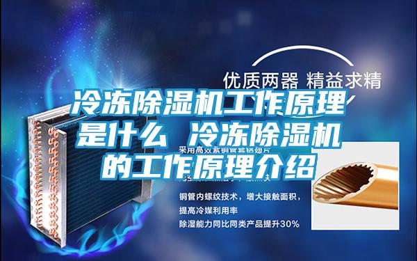 冷冻除湿机工作原理是什么 冷冻除湿机的工作原理介绍