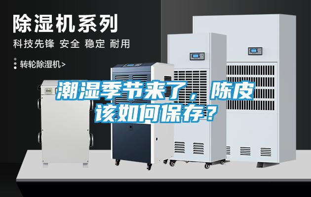潮湿季节来了，陈皮该如何保存？