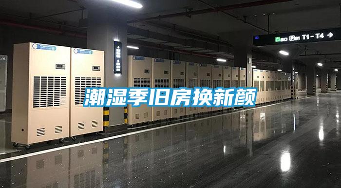 潮湿季旧房换新颜