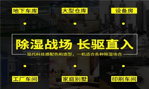 我国如何应对美元走强的情况
