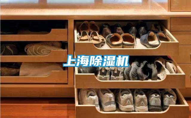 上海除湿机