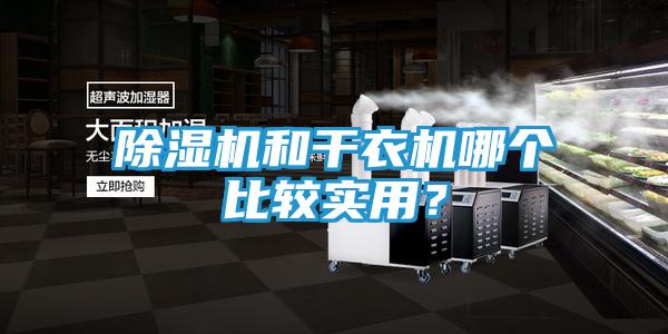 除湿机和干衣机哪个比较实用？