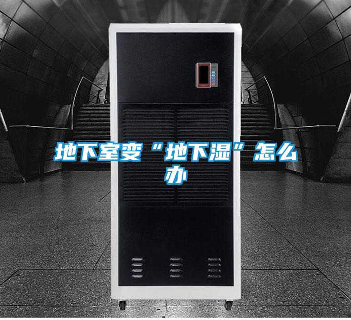地下室变“地下湿”怎么办