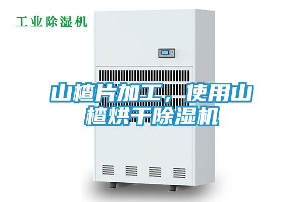 山楂片加工，使用山楂烘干除湿机