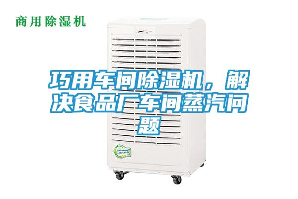 巧用车间除湿机，解决食品厂车间蒸汽问题