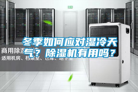 冬季如何应对湿冷天气？除湿机有用吗？