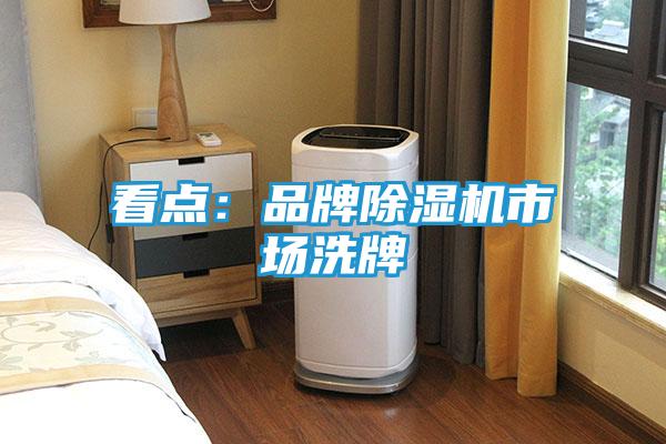 看点：品牌除湿机市场洗牌