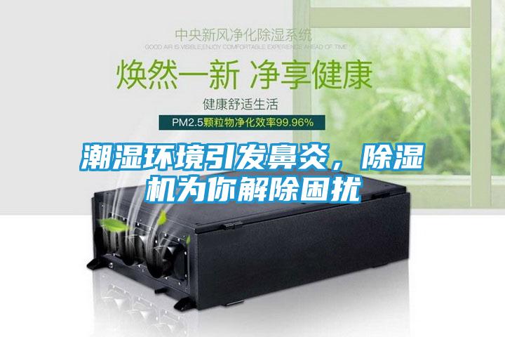 潮湿环境引发鼻炎，除湿机为你解除困扰