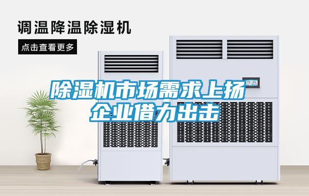除湿机市场需求上扬 企业借力出击