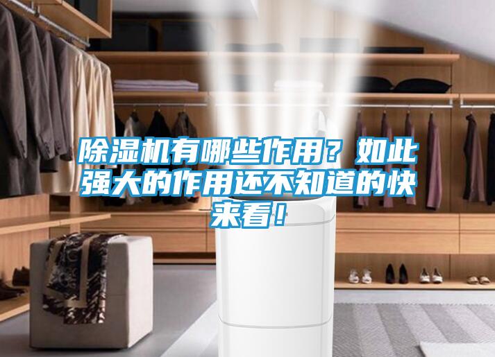 除湿机有哪些作用？如此强大的作用还不知道的快来看！