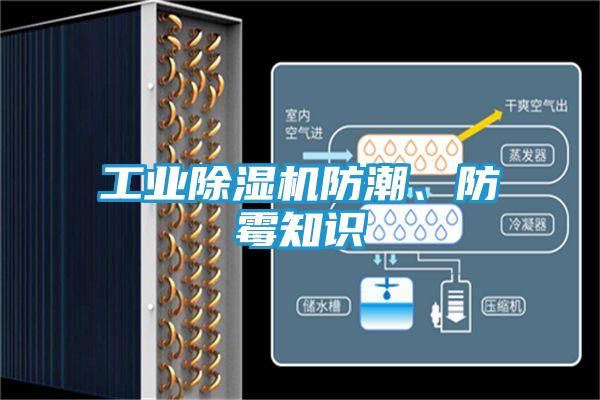 工业除湿机防潮、防霉知识