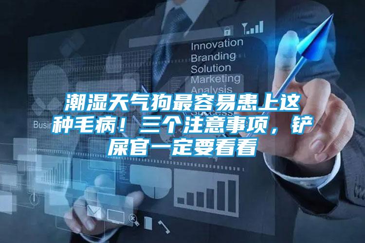 潮湿天气狗最容易患上这种毛病！三个注意事项，铲屎官一定要看看