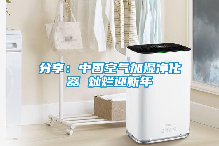 分享：中国空气加湿净化器 灿烂迎新年