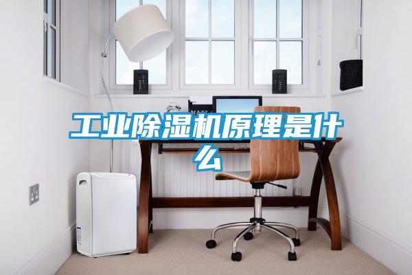 工业除湿机原理是什么