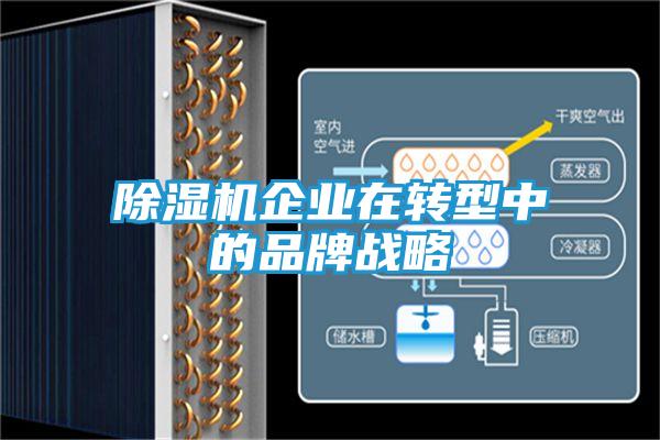 除湿机企业在转型中的品牌战略