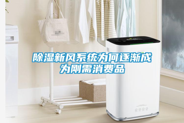 除湿新风系统为何逐渐成为刚需消费品