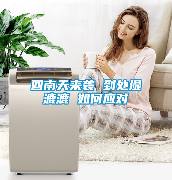 回南天来袭 到处湿漉漉 如何应对