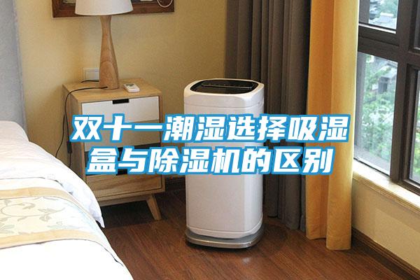 双十一潮湿选择吸湿盒与除湿机的区别