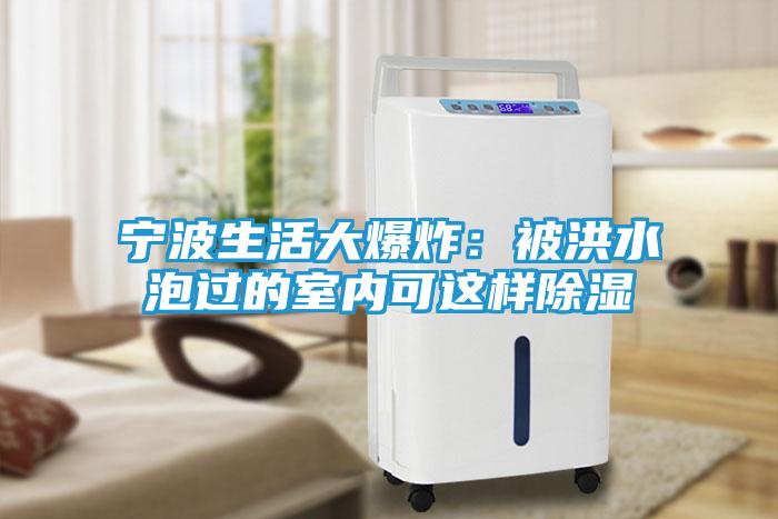 宁波生活大爆炸：被洪水泡过的室内可这样除湿