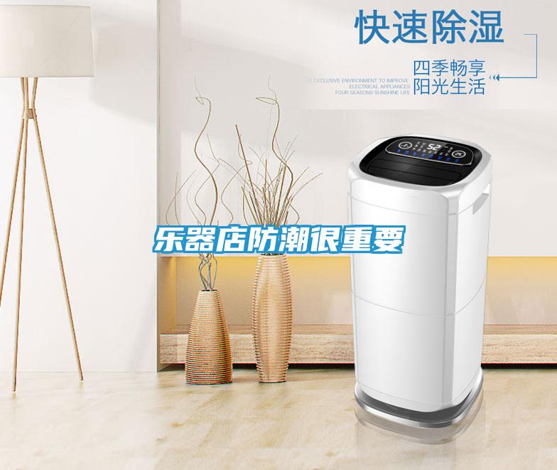乐器店防潮很重要