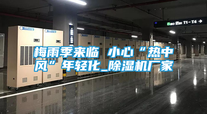 梅雨季来临 小心“热中风”年轻化_除湿机厂家
