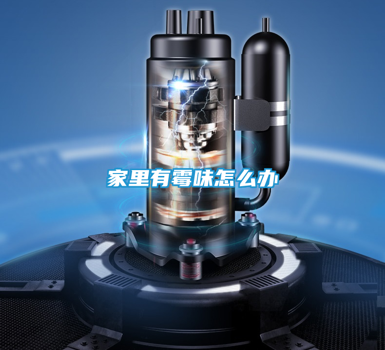 家里有霉味怎么办