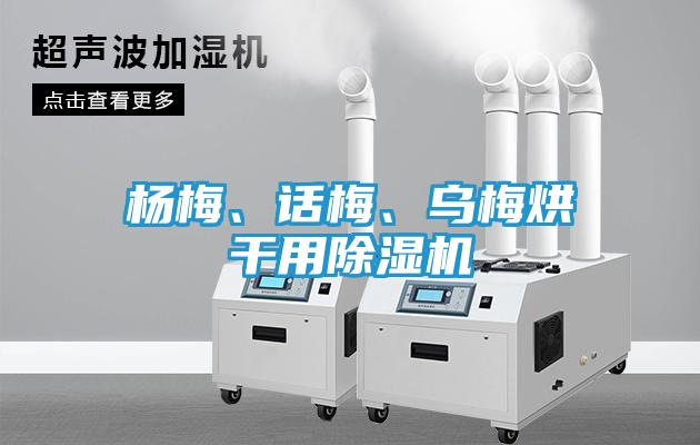 杨梅、话梅、乌梅烘干用除湿机