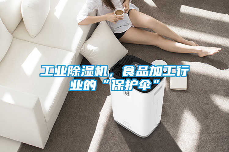 工业除湿机，食品加工行业的“保护伞”