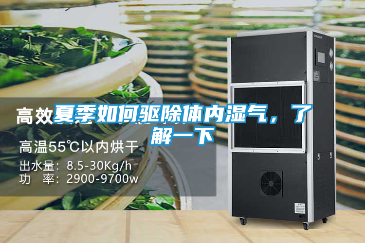夏季如何驱除体内湿气，了解一下