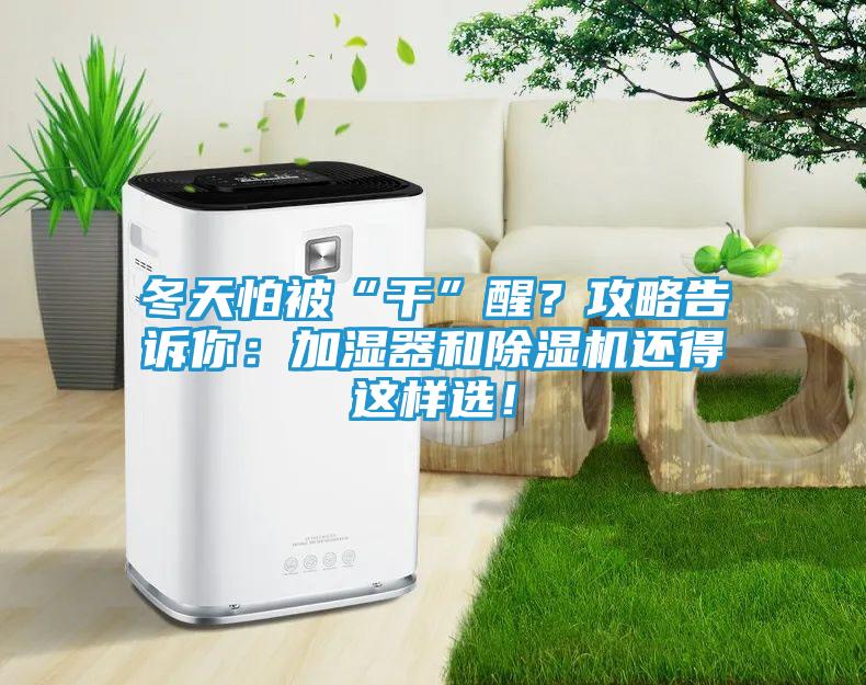 冬天怕被“干”醒？攻略告诉你：加湿器和除湿机还得这样选！
