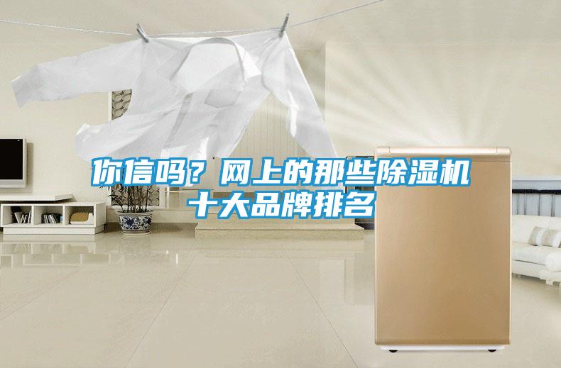 你信吗？网上的那些除湿机十大品牌排名